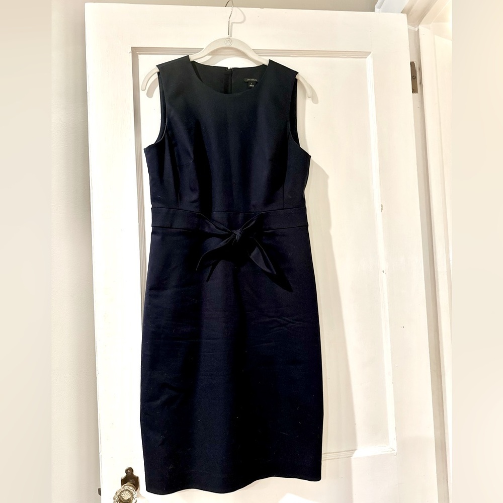Ann Taylor Dress